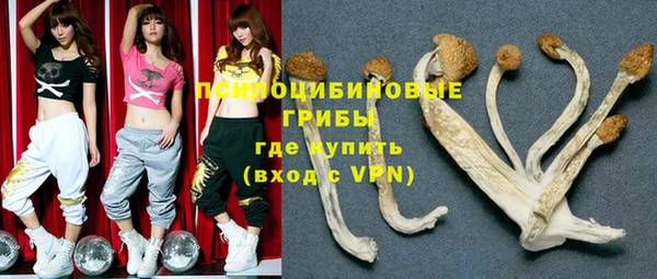 a pvp Новокубанск