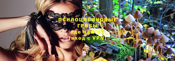 a pvp Новокубанск