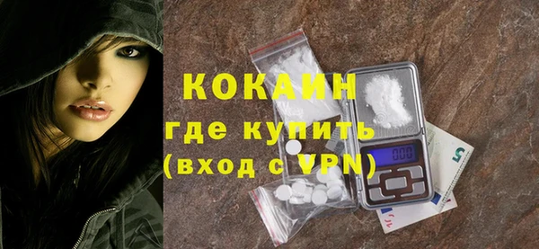 гашик Новодвинск