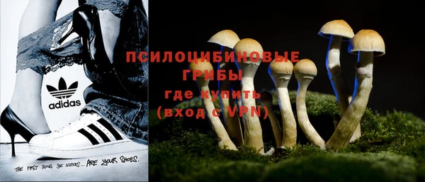трава Нягань