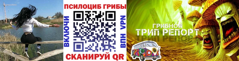 что такое   Губкинский  Галлюциногенные грибы MAGIC MUSHROOMS 