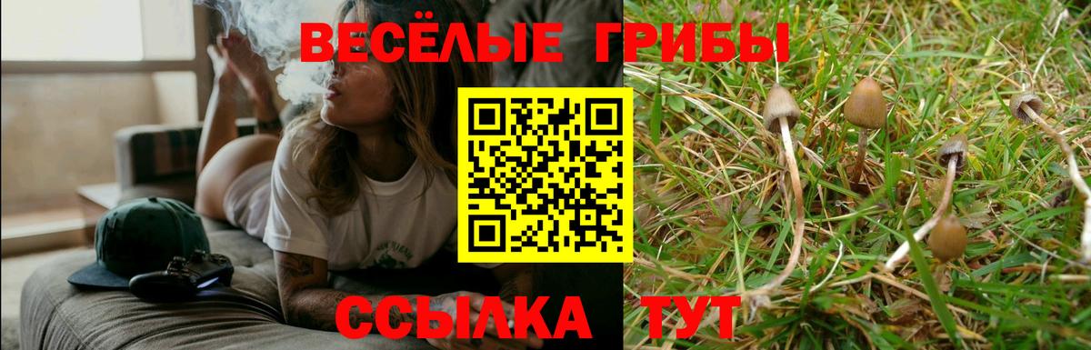 Галлюциногенные грибы мицелий Губкинский