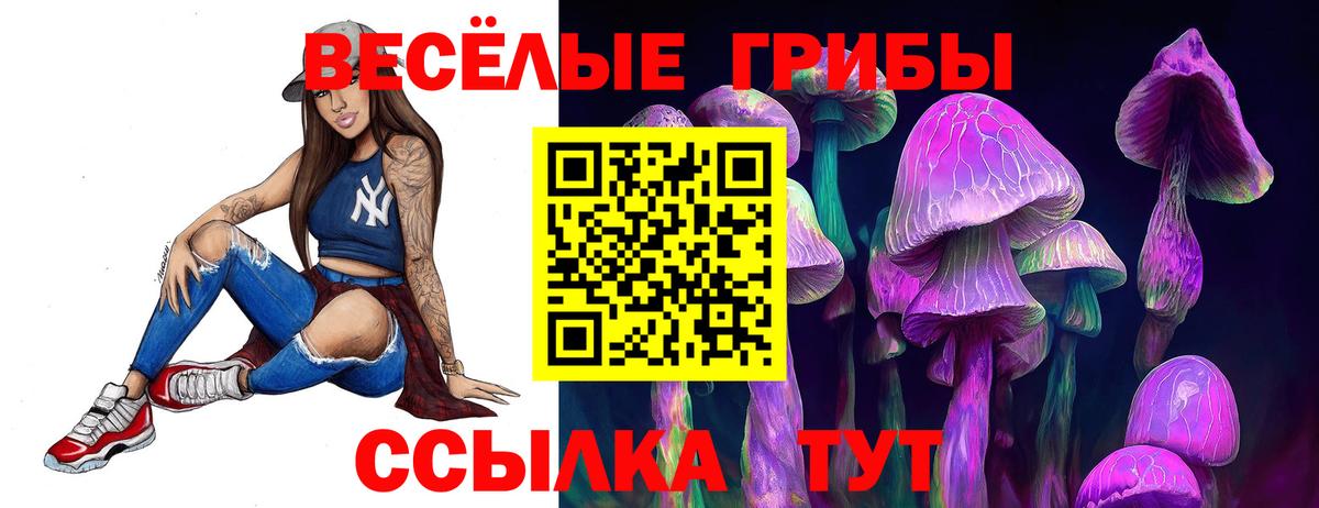 Губкинский  Галлюциногенные грибы Cubensis  где купить наркоту  Вход с VPN 
